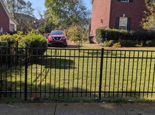 Alberto P.'s Lawn Mowing Service service result