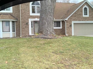 Leaf Removal by Shawn Spiess for Parveen B. in Arden Hills, MN