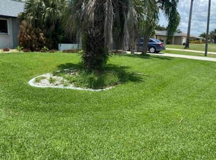 Erica C.'s Lawn Care service result
