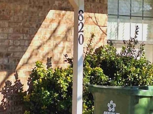 Michele B.'s Yard Cutting service result