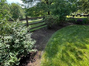 Quita S.'s Lawn Service service result