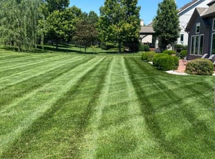 Sandi P.'s Lawn Service service result