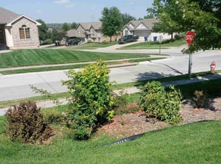 Bush Trimming by Dartellee Foster for Jen R. in Papillion, NE