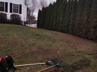 Leaf Removal by Amilcar Patrick for Phil C. in Methuen, MA
