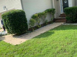 Bush Trimming by Brandon Russell for Jacob B. in Suffolk, VA