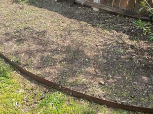 Weeding by Stephen Mathis for Tyleather G. in Lexington, SC