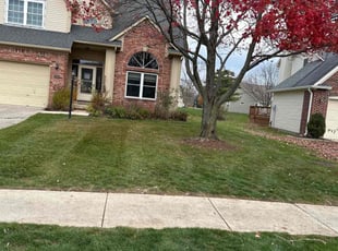 Leaf Removal by Luis Contreras for Carol B. in Indianapolis, IN