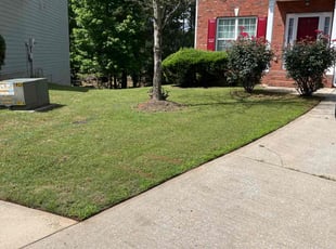 Jewel w.'s Lawn Mowing Service service result