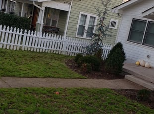 Leaf Removal by Christopher Shive-Salvador for Christianna R. in Nashville, TN