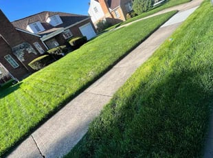 Rebecca S.'s Lawn Care service result