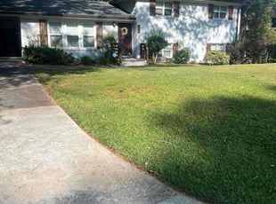 Taiwo O.'s Grass Cutting service result