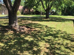 John S.'s Lawn Mowing service result