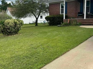Pat U.'s Grass Cutting service result