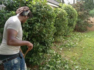 Bush Trimming by Marvel Carmichael for Deon A. in Altamonte Springs, FL