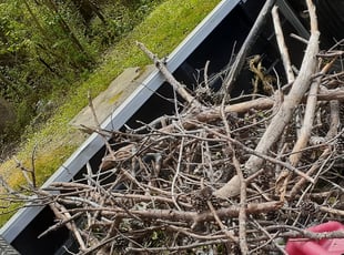 Jonathan R.'s Cleanups service result