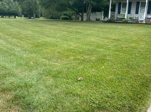 Tim S.'s Lawn Maintenance service result