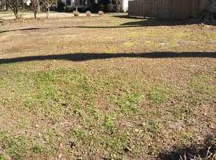 Leaf Removal by Xavier Allen for Erin G. in Virginia Beach, VA