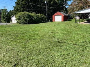 Camile I.'s Yard Cutting service result