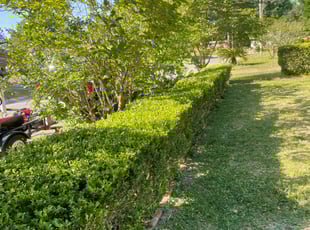 Bush Trimming by Gary Wright for Alyssa W. in Pensacola, FL