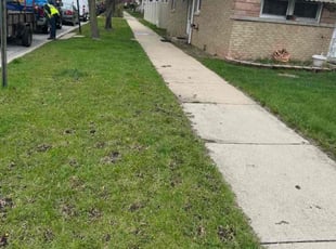 Pearl C.'s Grass Cutting service result