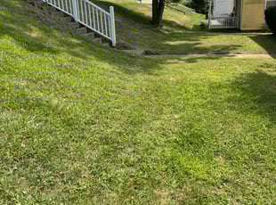 Linda J.'s Lawn Care service result