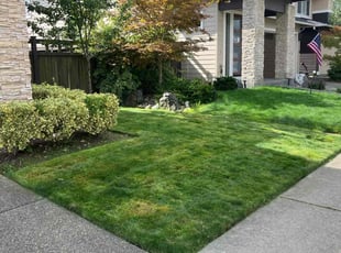 Maxwell R.'s Yard Cutting service result