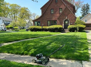 Lisbeth C.'s Lawn Mowing service result