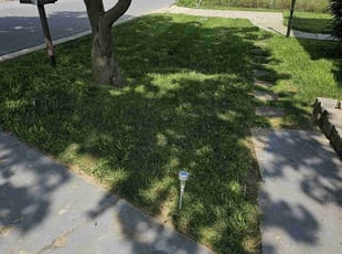 Debra B.'s Lawn Mowing service result