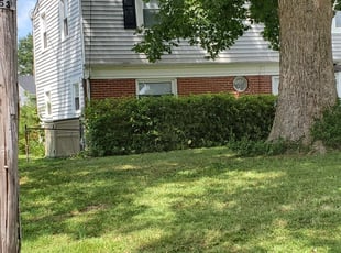 Bush Trimming by William Mende for Thora -. in Virginia Beach, VA