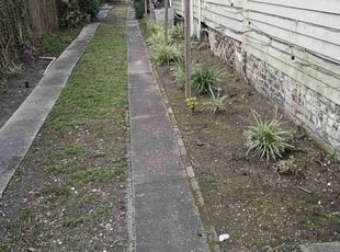 Weeding by Andrew Honeycutt for David M. in New Orleans, LA