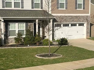 Tom M.'s Lawn Mowing Service service result