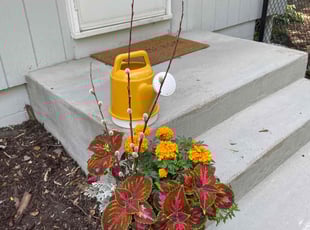 Bush Trimming by Connor Doyle for Chris M. in Minneapolis, MN