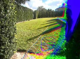Annette F.'s Lawn Mowing Service service result
