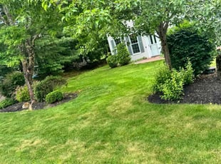 Tom G.'s Lawn Care service result