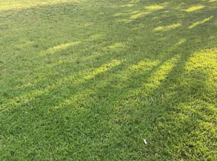 Jim K.'s Yard Cutting service result