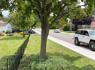 Patricia P.'s Lawn Care service result