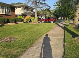 Sandy B.'s Lawn Mowing service result