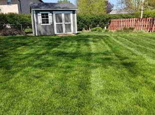 Ronald L.'s Lawn Mowing Service service result