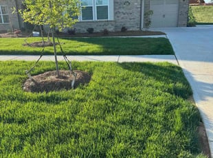 Jennifer S.'s Lawn Service service result