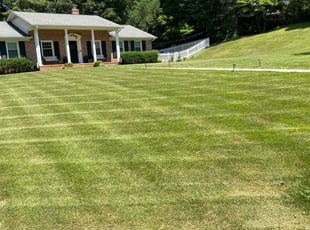 Kaitlyn S.'s Lawn Mowing service result