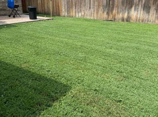 Cathy J.'s Lawn Care service result