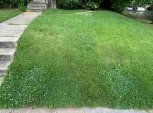 Chuck-Jan O.'s Lawn Mowing service result