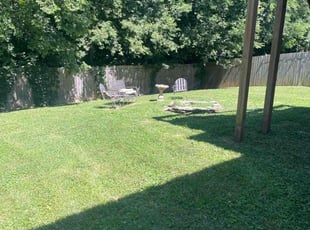 Vanessa B.'s Lawn Maintenance service result