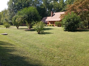 Jeanette W.'s Lawn Service service result