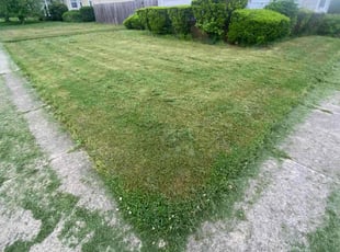 Tommy M.'s Lawn Service service result