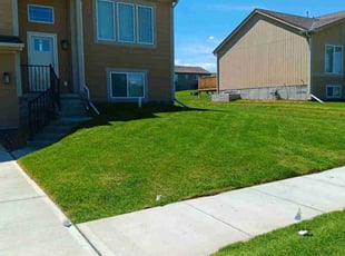 Donald T.'s Grass Cutting service result