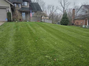 Don M.'s Lawn Mowing service result