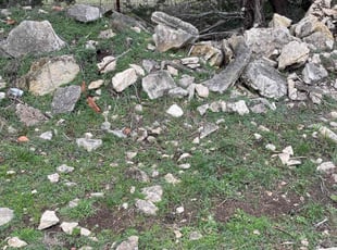 Bush Trimming by Dustin Devall for Maria Z. in Canyon Lake, TX