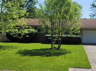 Tamela L.'s Lawn Service service result