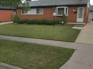 Leaf Removal by Robert Ford for Sandra F. in Inkster, MI